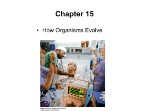 Chapter 15 • How Organisms Evolve