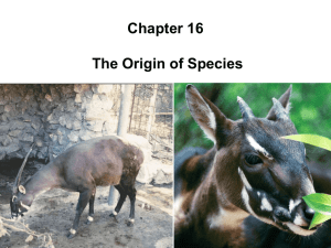 Chapter 16 The Origin of Species