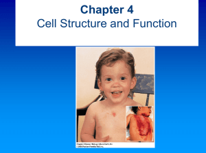 Chapter 4 Cell Structure and Function