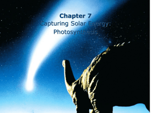 Chapter 7 Capturing Solar Energy: Photosynthesis