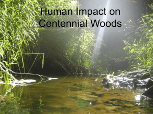 Human Impact on Centennial Woods