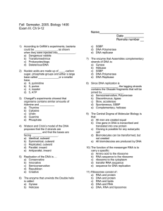 Fall  Semester, 2005. Biology 1406 Exam III. Ch 9-12 Name_________________________ Date ___________