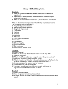 1.  What are the main differences between prokaryotic and... organisms? 2.  What theory is more commonly used in textbooks... Biology 1406 Test II Study Guide.