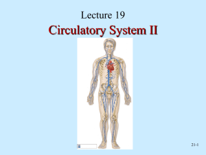 Circulatory System II Lecture 19 21-1