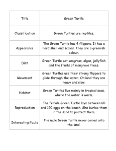 Title Green Turtle Classification Green Turtles are reptiles.