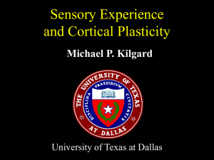 Sensory Experience and Cortical Plasticity Michael P. Kilgard University of Texas at Dallas