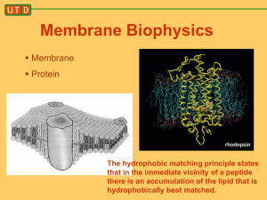 Membrane Biophysics  Membrane  Protein