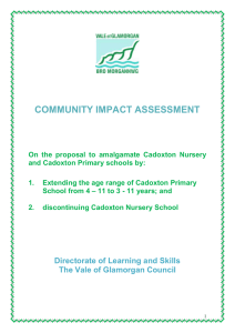 COMMUNITY IMPACT ASSESSMENT