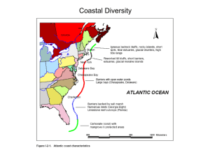 Coastal Diversity