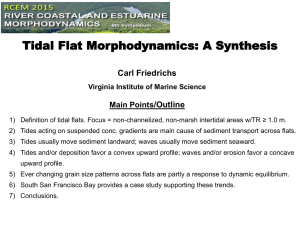 Tidal Flat Morphodynamics: A Synthesis Carl Friedrichs /Outline Main Points