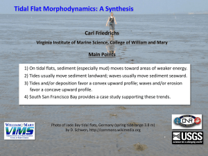 Tidal Flat Morphodynamics: A Synthesis Carl Friedrichs Main Points