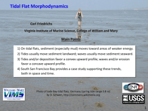 Tidal Flat Morphodynamics Main Points Carl Friedrichs