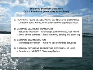 Estuarine Sediment Dynamics Carl T. Friedrichs (www.vims.edu/~cfried)