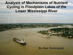 Analysis of Mechanisms of Nutrient Cycling in Floodplain Lakes of the