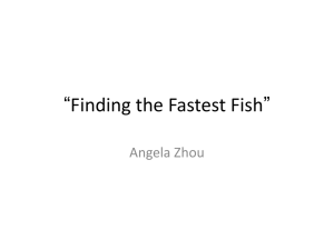 “Finding the Fastest Fish” Angela Zhou