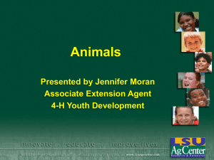 Animals Presented by Jennifer Moran Associate Extension Agent 4-H Youth Development