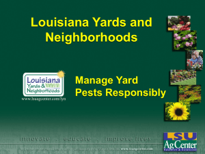 Louisiana Yards and Neighborhoods Manage Yard Pests Responsibly