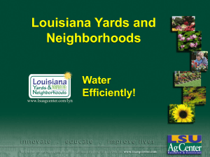 Louisiana Yards and Neighborhoods Water Efficiently!