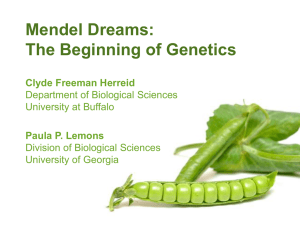 Mendel Dreams: The Beginning of Genetics