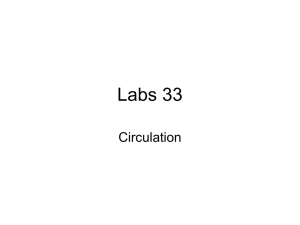 Labs 33 Circulation