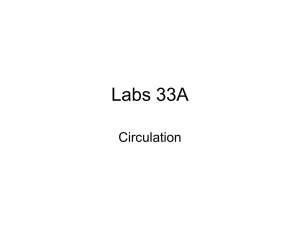 Labs 33A Circulation