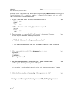 BIOL260  Name____________________________ Lab Practicum (Summer 2011)