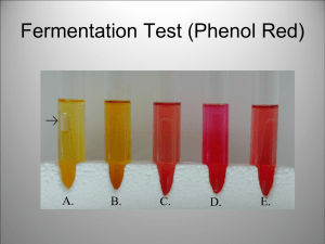 Fermentation Test (Phenol Red)