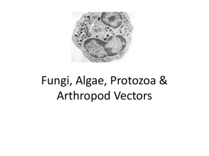 Fungi, Algae, Protozoa &amp; Arthropod Vectors