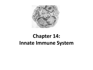 Chapter 14: Innate Immune System