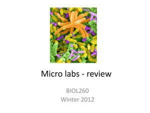 Micro labs - review BIOL260 Winter 2012