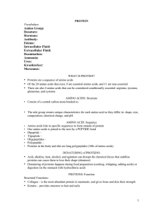 Vocabulary Amino Group: Denature: Hormone: