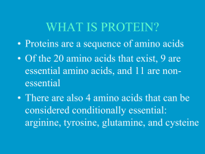 WHAT IS PROTEIN?