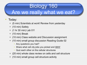 Biology 160 Are we really what we eat? • Today: