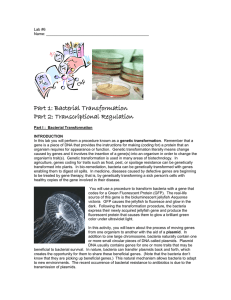 Part 1: Bacterial Transformation Part 2: Transcriptional Regulation