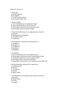 Review for Lecture 12.  1. Germ cells A) produce gametes