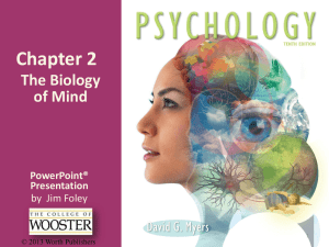 Chapter 2 The Biology of Mind PowerPoint®