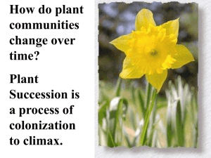 How do plant communities change over time?