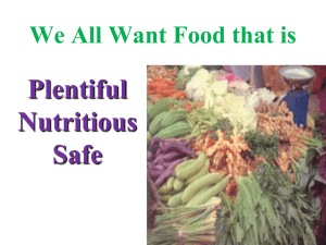 Plentiful Nutritious Safe We All Want Food that is
