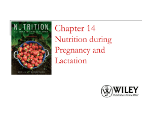Chapter 14 Nutrition during Pregnancy and Lactation