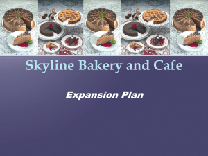 Skyline Bakery and Cafe Expansion Plan