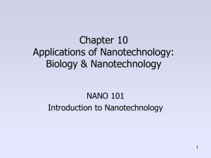 Chapter 10 Applications of Nanotechnology: Biology &amp; Nanotechnology NANO 101