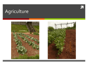 Agriculture 