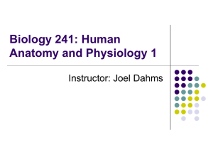 Biology 241: Human Anatomy and Physiology 1 Instructor: Joel Dahms
