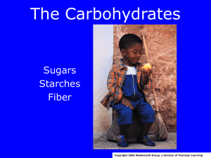 The Carbohydrates Sugars Starches Fiber