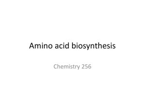 Amino acid biosynthesis Chemistry 256