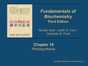 Fundamentals of Biochemistry Chapter 19 Third Edition