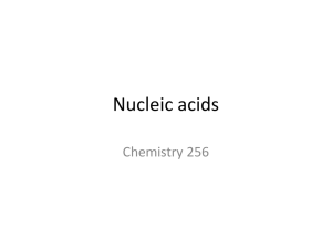 Nucleic acids Chemistry 256