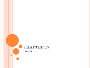 CHAPTER 17 LIPIDS