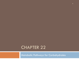 CHAPTER 22 Metabolic Pathways for Carbohydrates 1