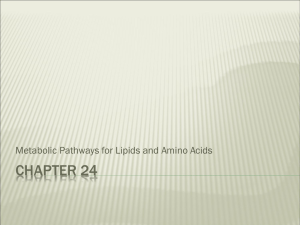 CHAPTER 24 Metabolic Pathways for Lipids and Amino Acids